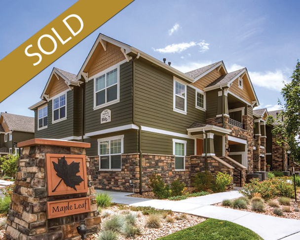 Leaf in creek case study 03 image